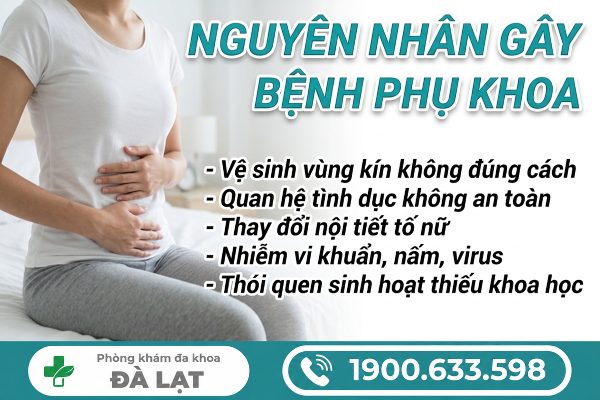 Hình ảnh minh họa